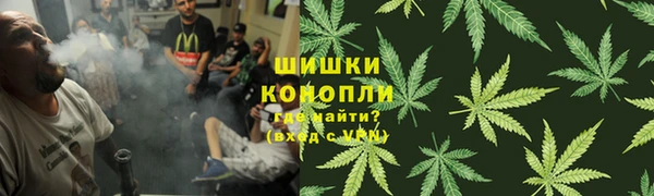 трава Богородицк