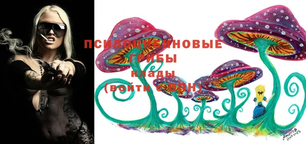 винт Белокуриха