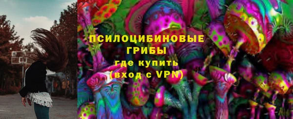 винт Белокуриха