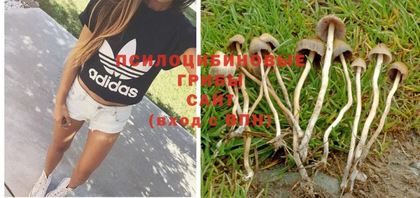 PSILOCYBIN Богородск
