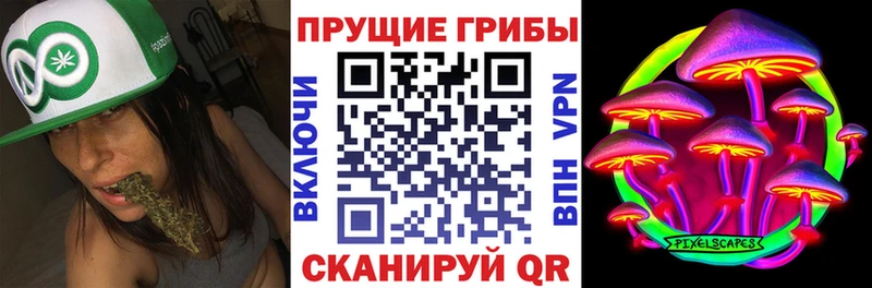 hydra вход  Пятигорск  Галлюциногенные грибы прущие грибы 