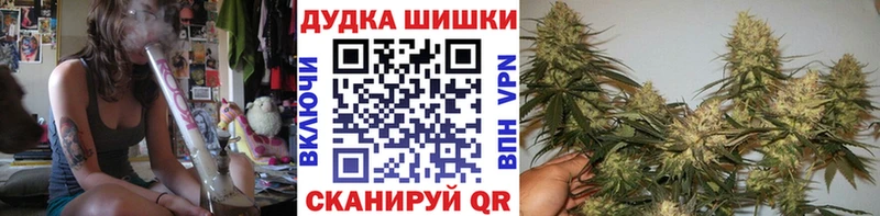 Бошки Шишки марихуана  Пятигорск 